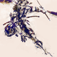 Illustration for article titled Blessed Sidearm